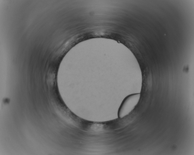 X0000112100227200909151208