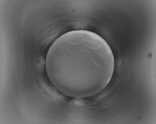 X0000112100228200909151208