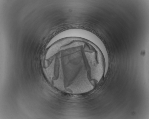 X0000112100229200909151208