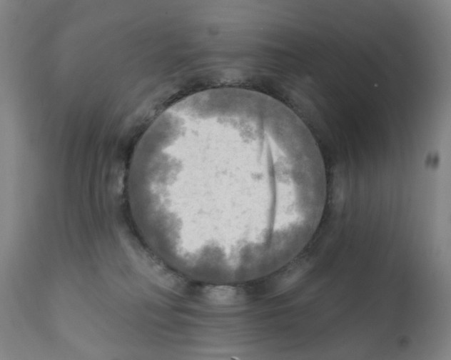 X0000112100230200909151208