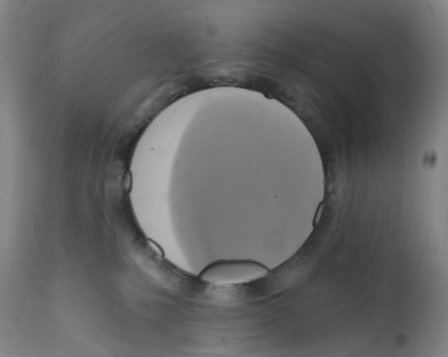 X0000112100231200909151208