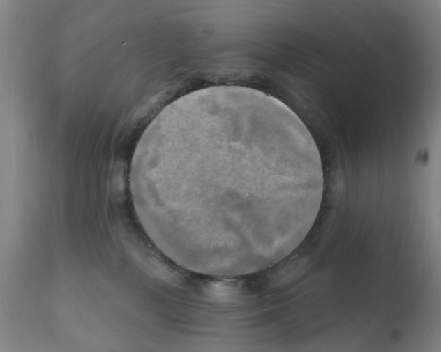 X0000112100232200909151208