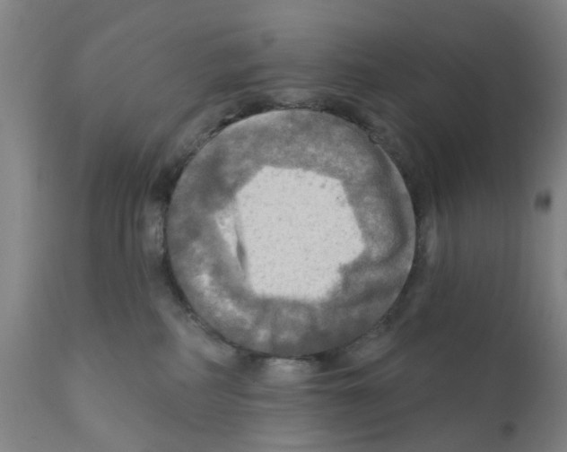 X0000112100234200909151208