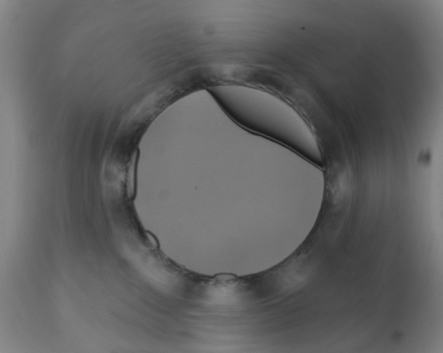 X0000112100235200909151208