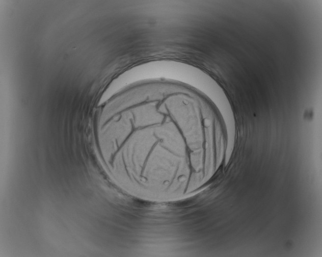 X0000112100237200909151208