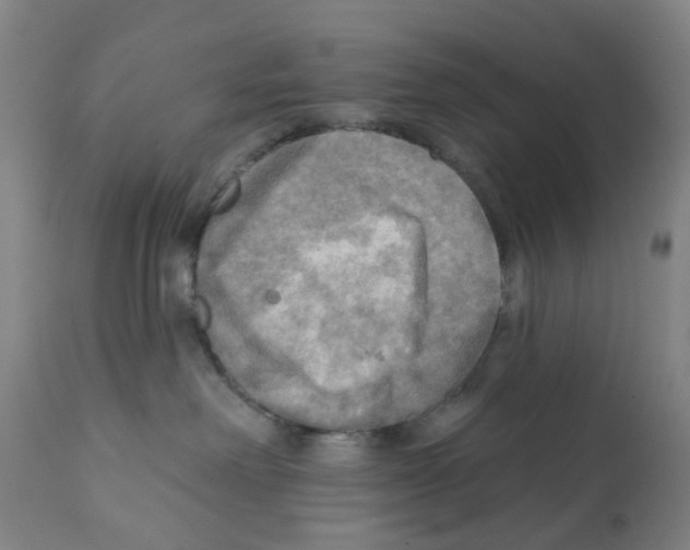 X0000112100238200909151208