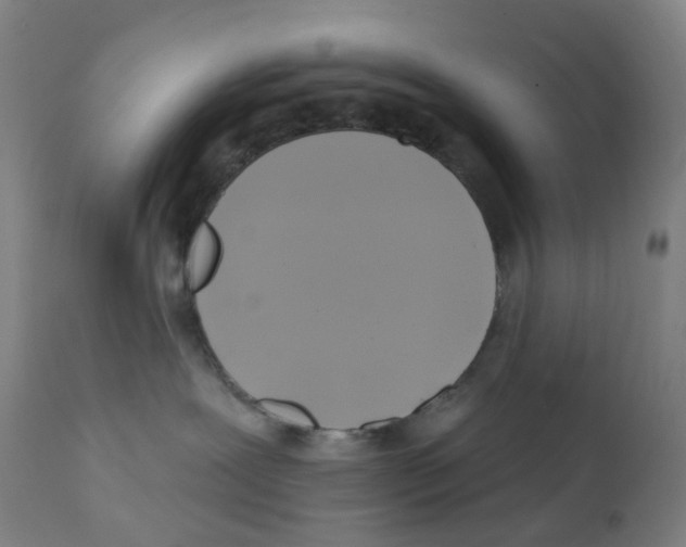 X0000112100239200909151208