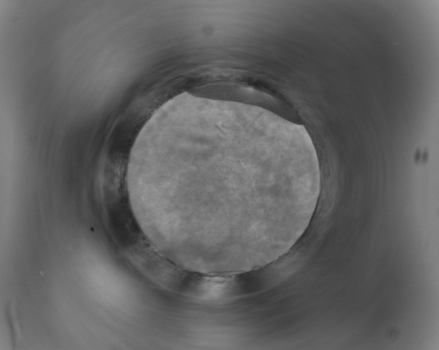 X0000112100240200909151207