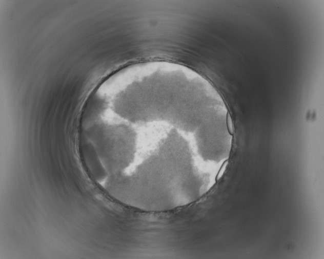 X0000112100241200909151207