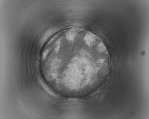X0000112100242200909151207