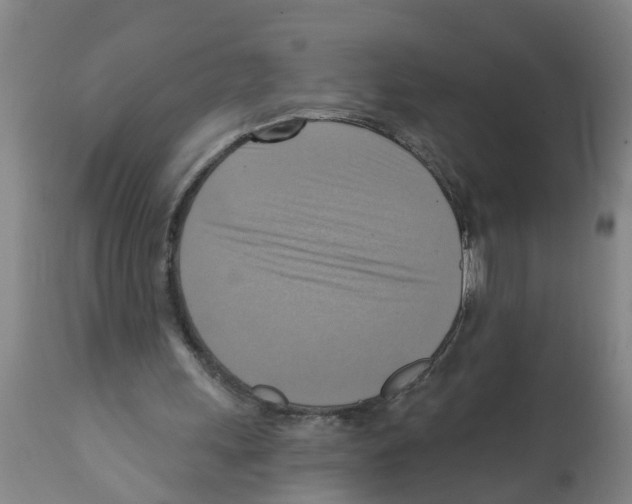 X0000112100243200909151207