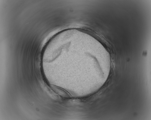 X0000112100244200909151207
