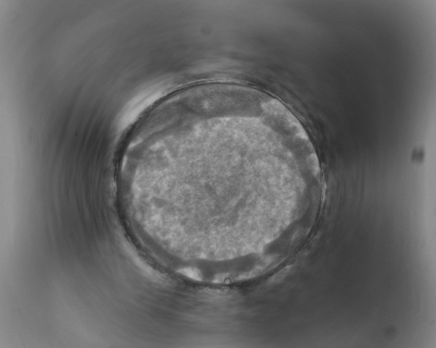 X0000112100245200909151207