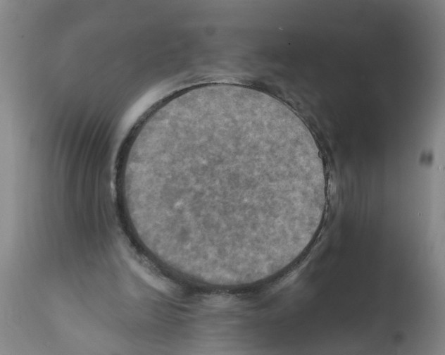 X0000112100246200909151207