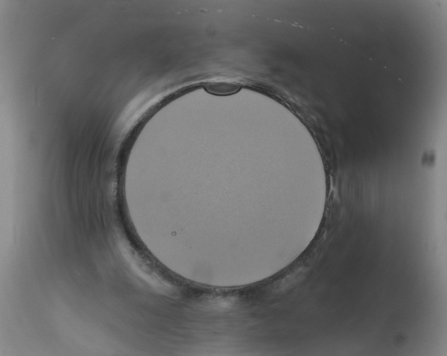 X0000112100247200909151207