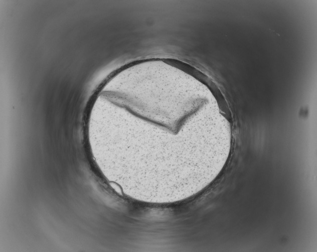 X0000112100248200909151207