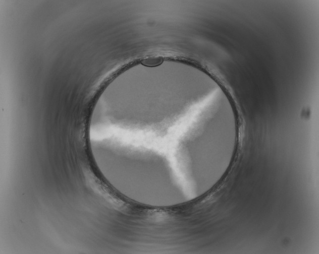X0000112100249200909151207