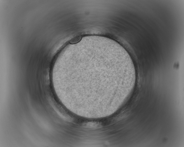 X0000112100251200909151207
