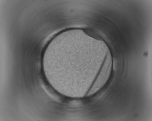 X0000112100252200909151207