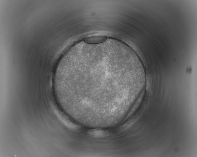 X0000112100253200909151207