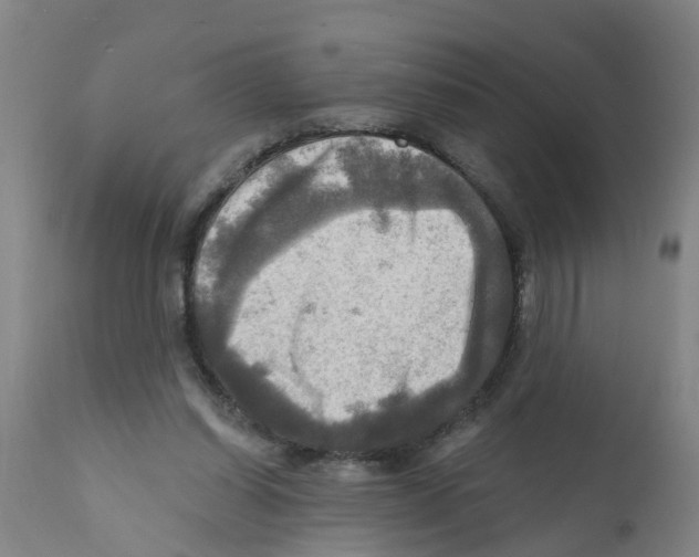 X0000112100254200909151207
