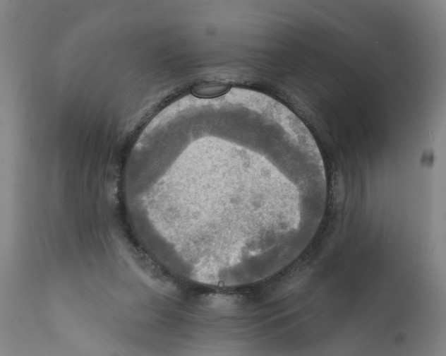 X0000112100255200909151207
