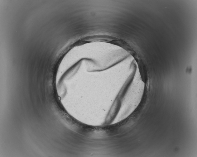 X0000112100256200909151207