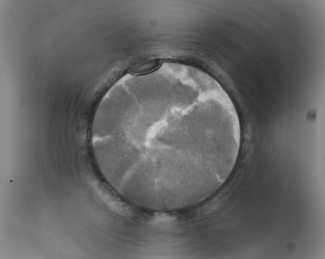 X0000112100257200909151207