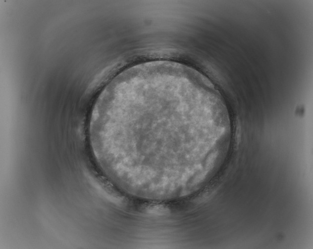 X0000112100258200909151207