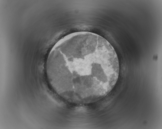 X0000112100259200909151207