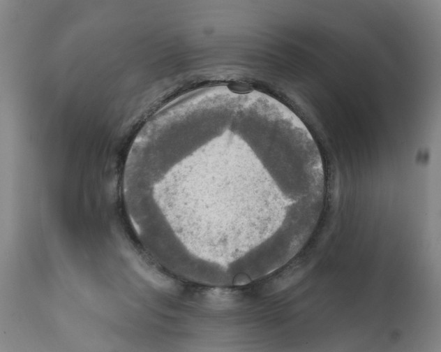 X0000112100261200909151207