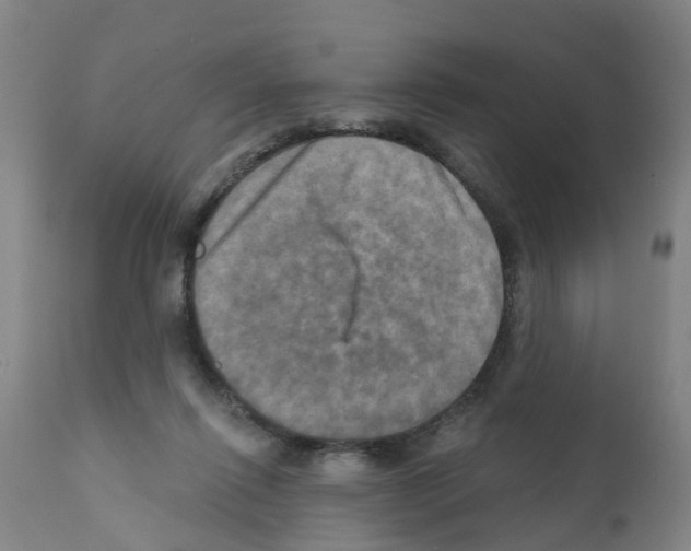 X0000112100262200909151207