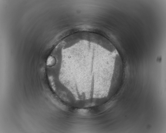 X0000112100265200909151207