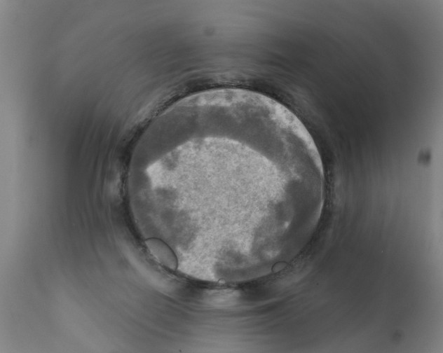 X0000112100266200909151207