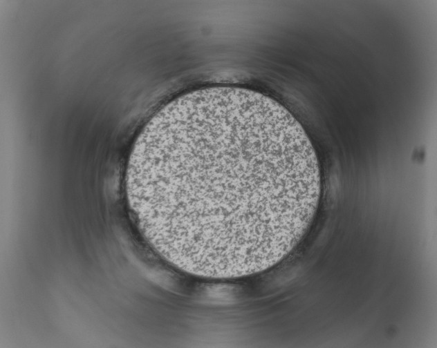 X0000112100268200909151207