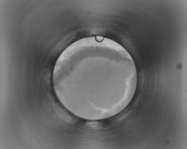 X0000112100269200909151207