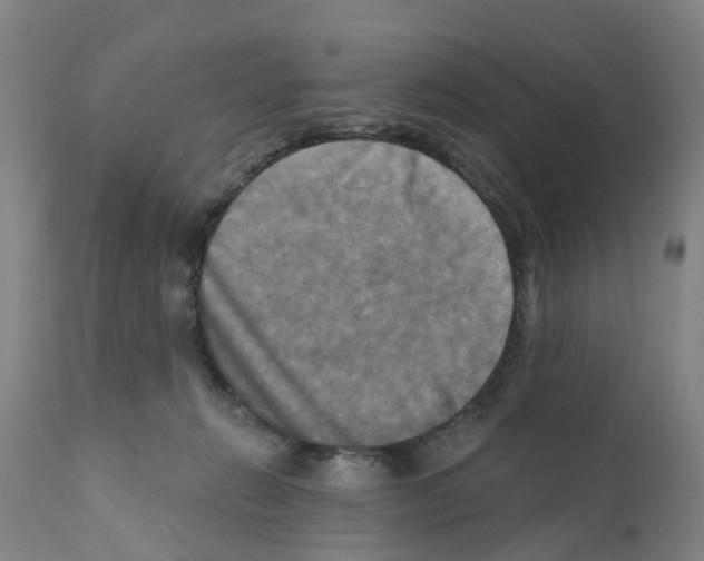 X0000112100270200909151207