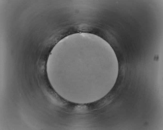 X0000112100271200909151207