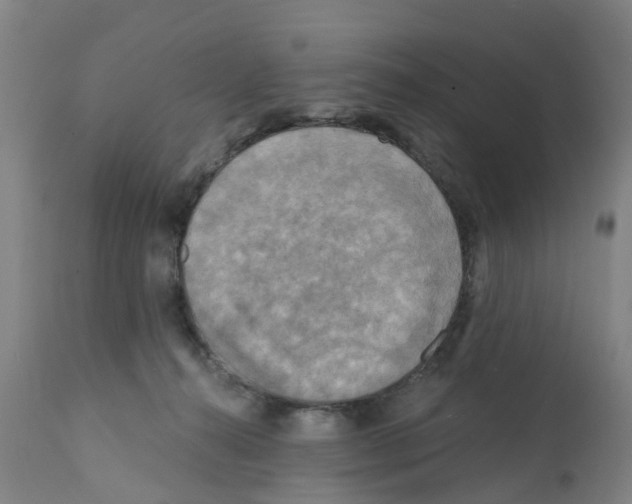 X0000112100272200909151207