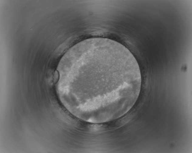 X0000112100273200909151207