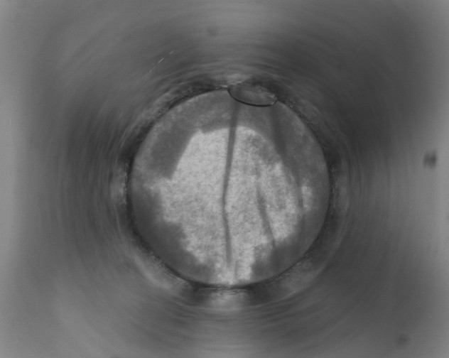 X0000112100274200909151207