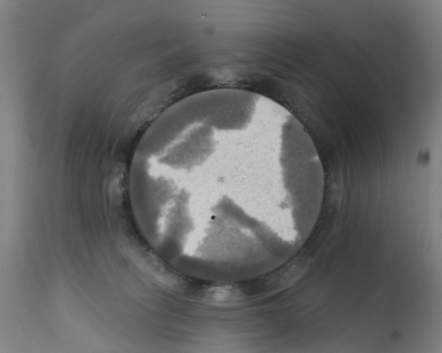 X0000112100275200909151207