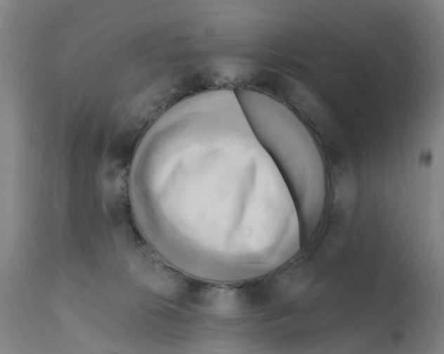 X0000112100276200909151207
