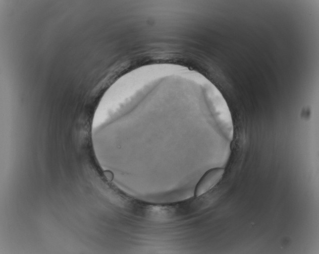 X0000112100277200909151207