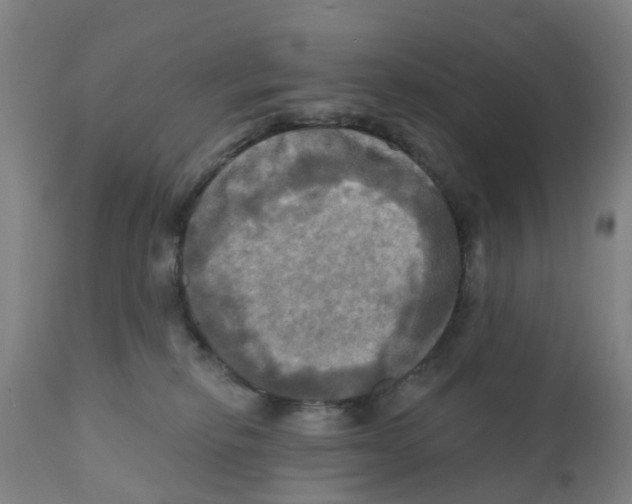 X0000112100278200909151207