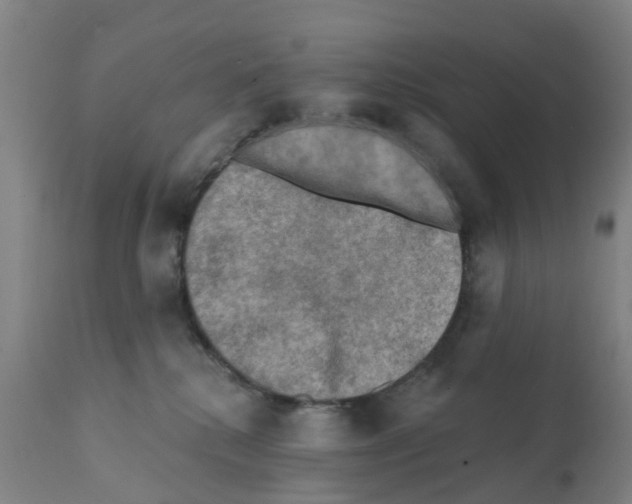 X0000112100280200909151207