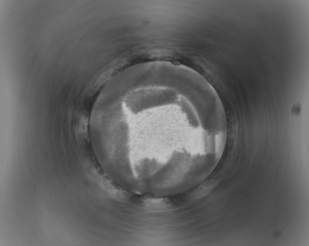 X0000112100281200909151207