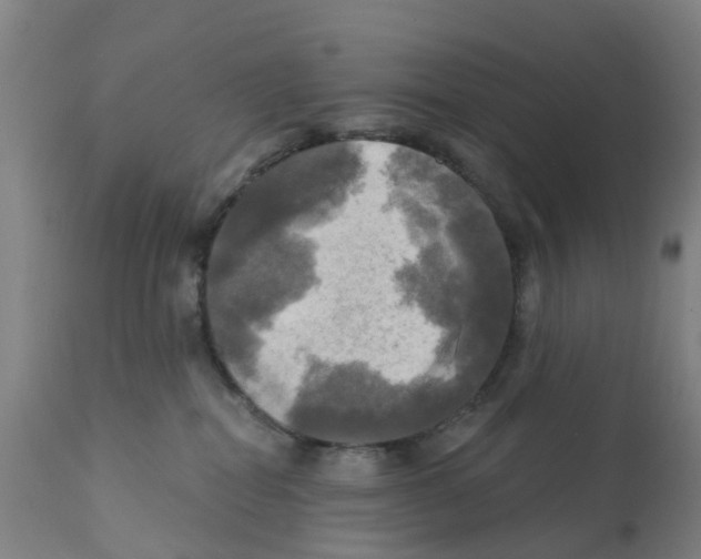 X0000112100282200909151207