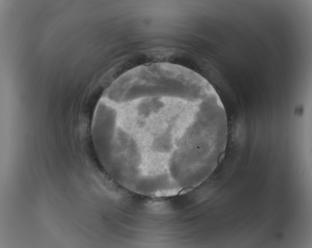 X0000112100283200909151207