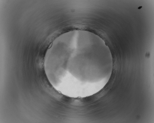 X0000112100285200909151207